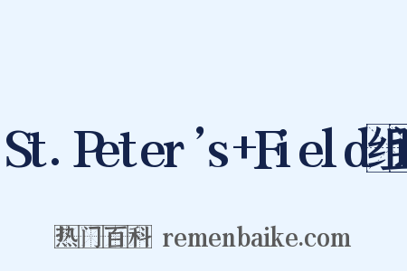 St.Peter’s+Field组词是什么意思的图片